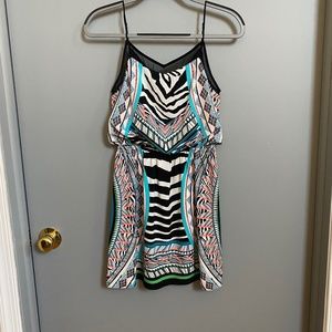 EXPRESS Geometric Zebra Print Dress